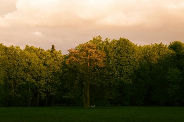 Certificat en santé : boostez votre carrière professionnelle