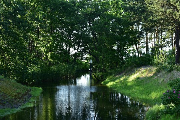 Boostez vos compétences : formation en extension de cils à toulouse